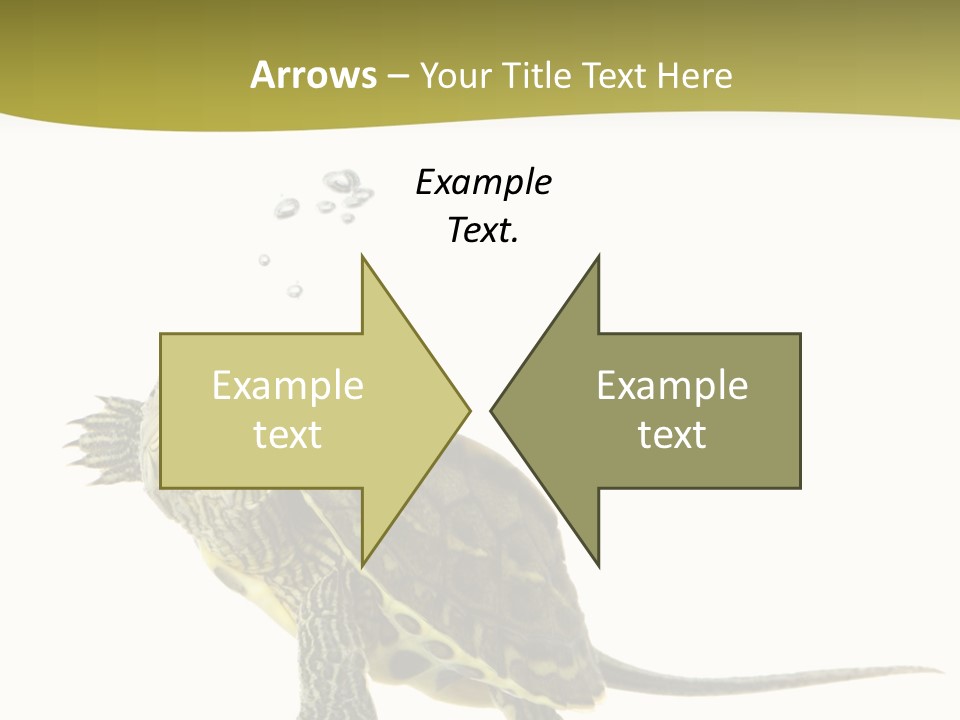 Fin Fluid Freshness PowerPoint Template