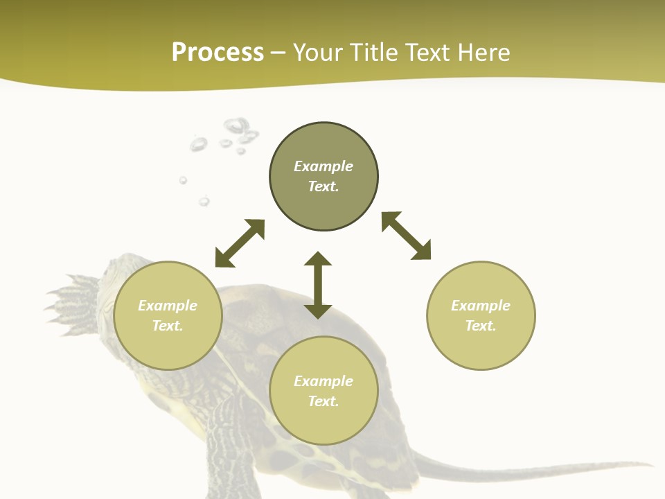 Fin Fluid Freshness PowerPoint Template