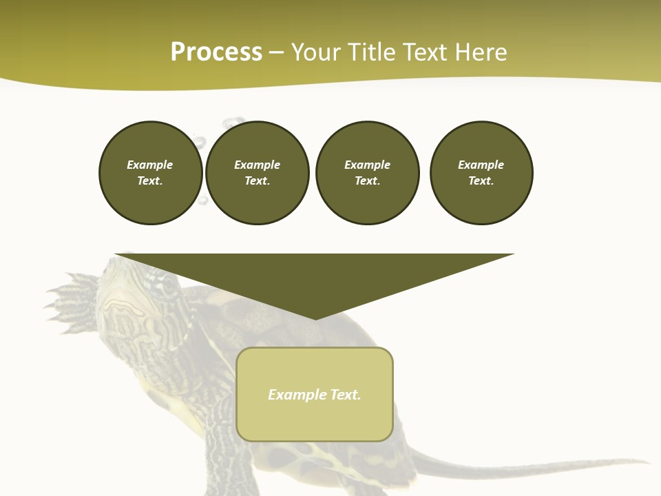 Fin Fluid Freshness PowerPoint Template