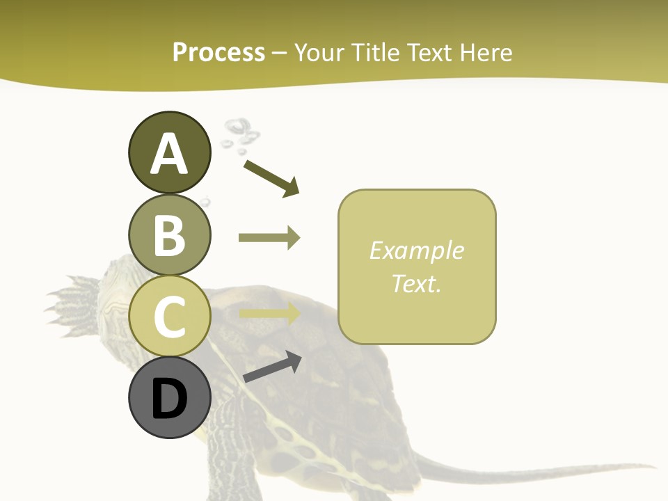 Fin Fluid Freshness PowerPoint Template