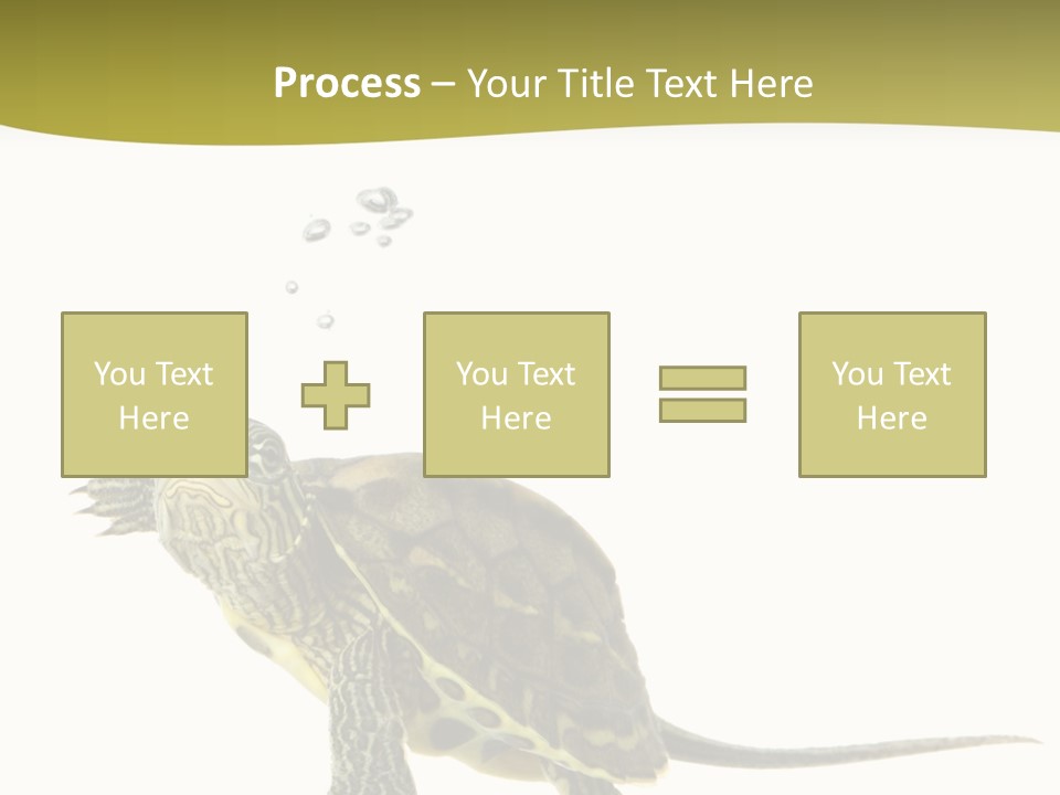 Fin Fluid Freshness PowerPoint Template