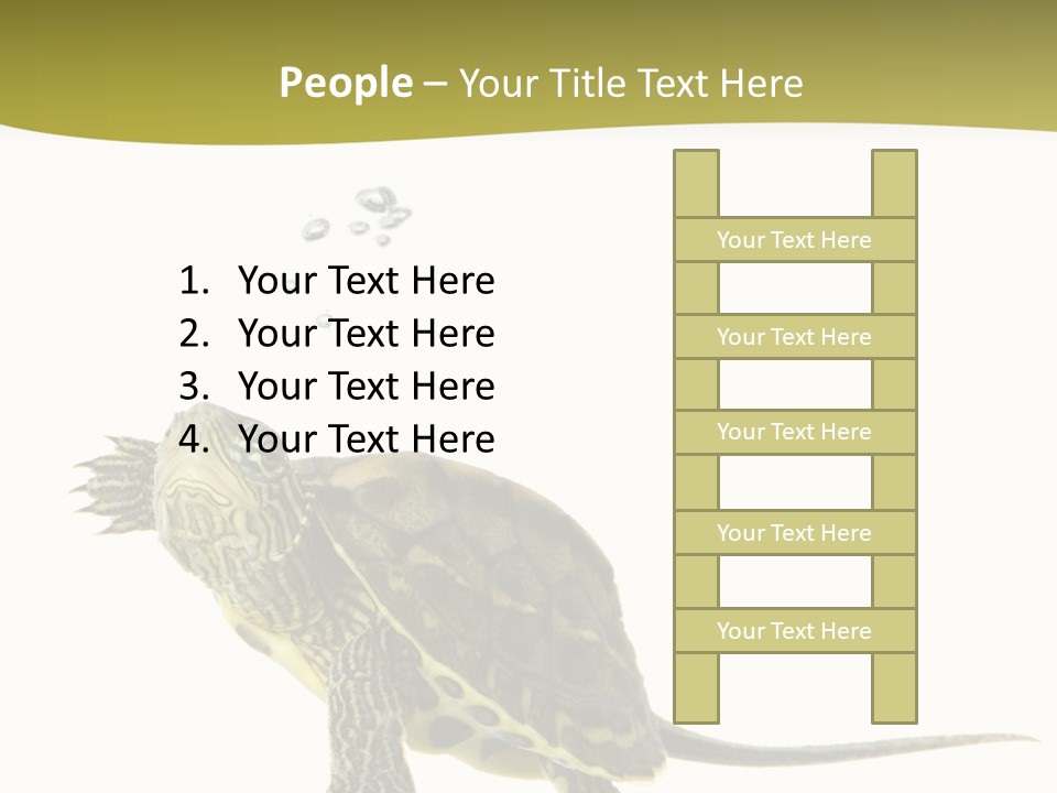 Fin Fluid Freshness PowerPoint Template
