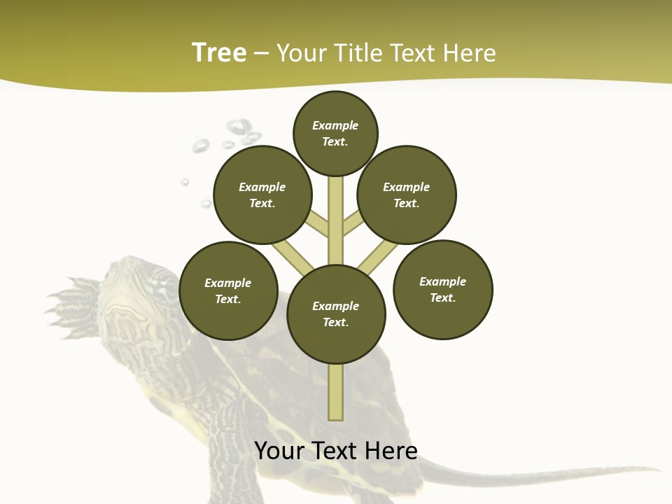 Fin Fluid Freshness PowerPoint Template