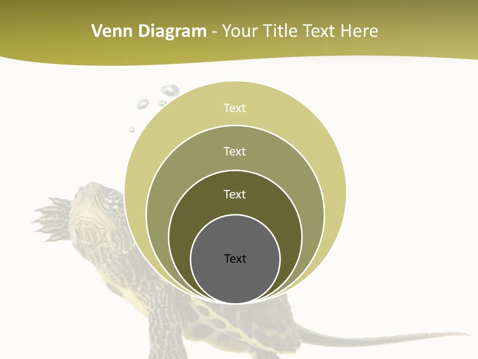 Fin Fluid Freshness PowerPoint Template