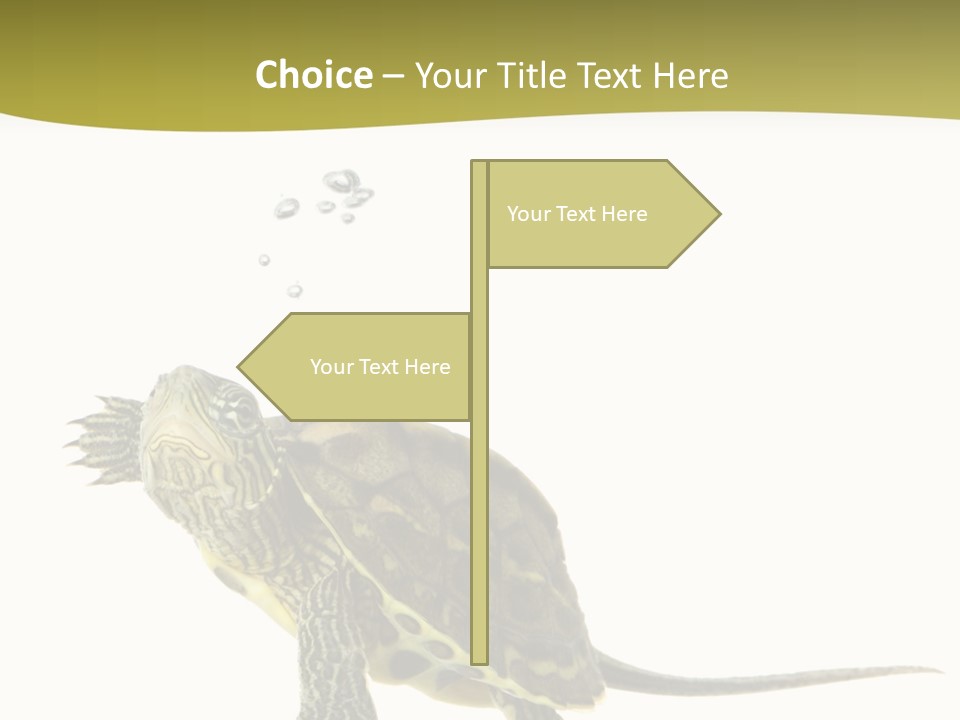 Fin Fluid Freshness PowerPoint Template