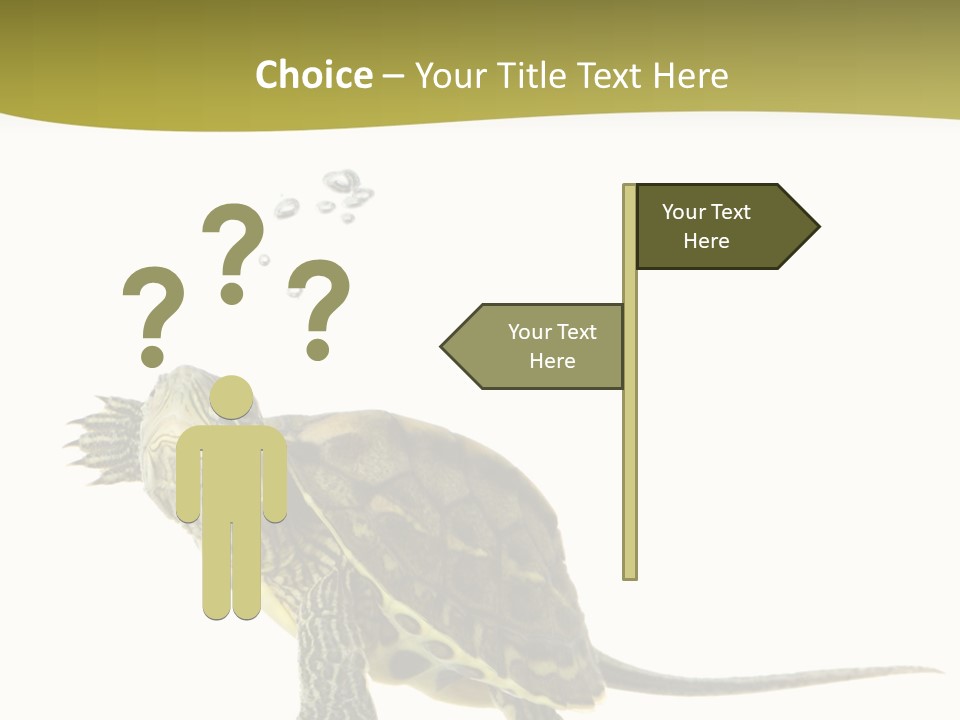 Fin Fluid Freshness PowerPoint Template