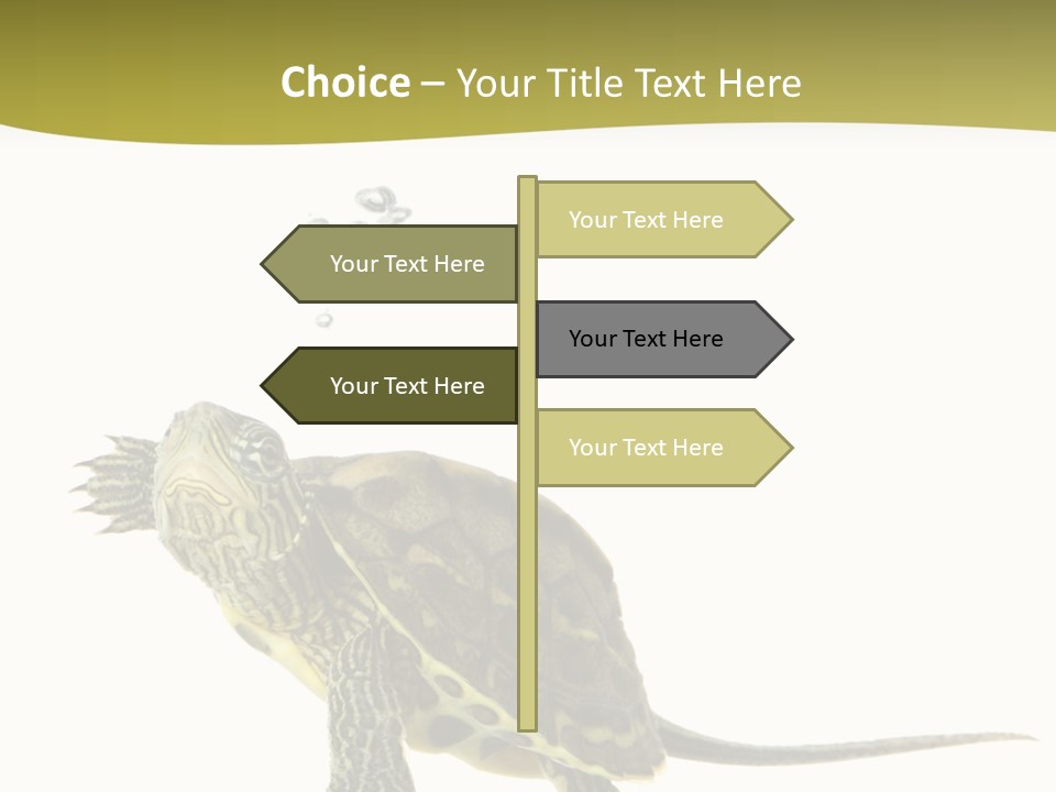 Fin Fluid Freshness PowerPoint Template