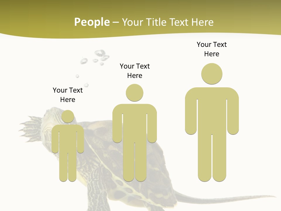 Fin Fluid Freshness PowerPoint Template