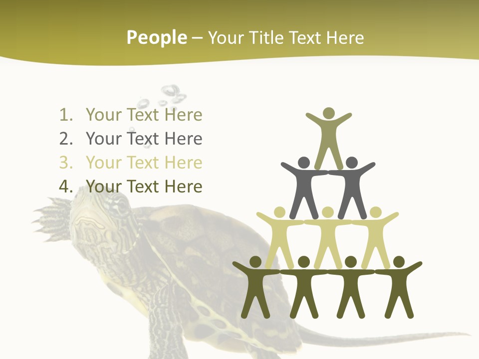 Fin Fluid Freshness PowerPoint Template