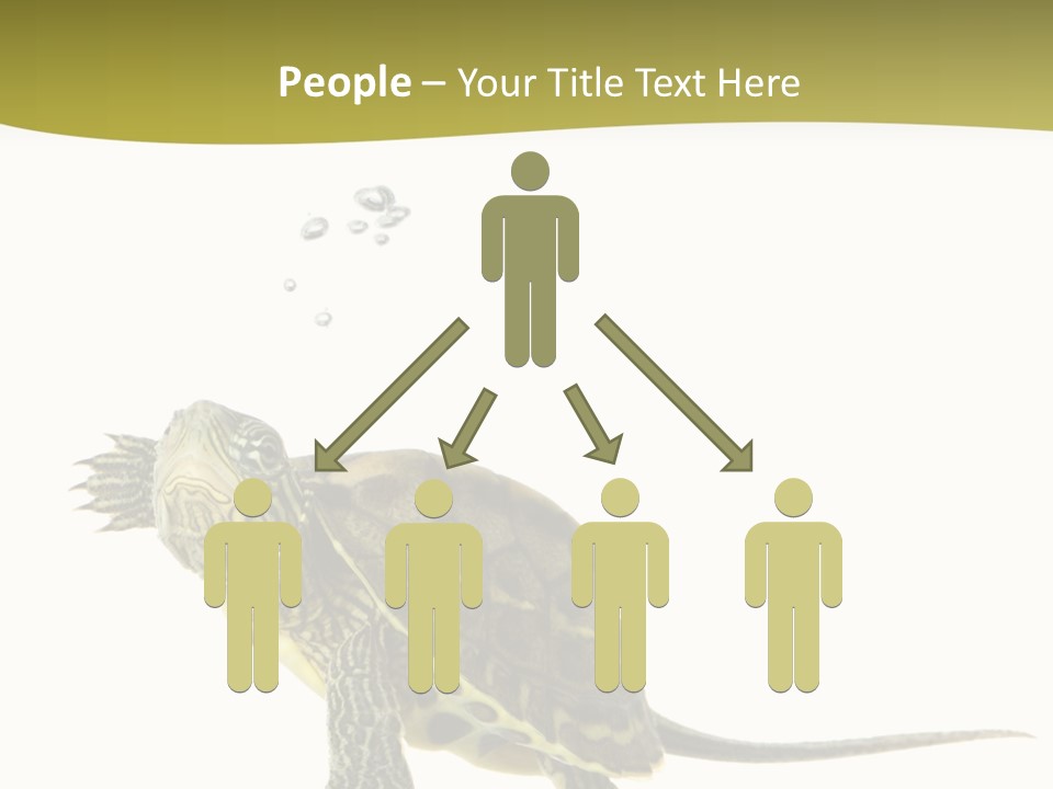 Fin Fluid Freshness PowerPoint Template