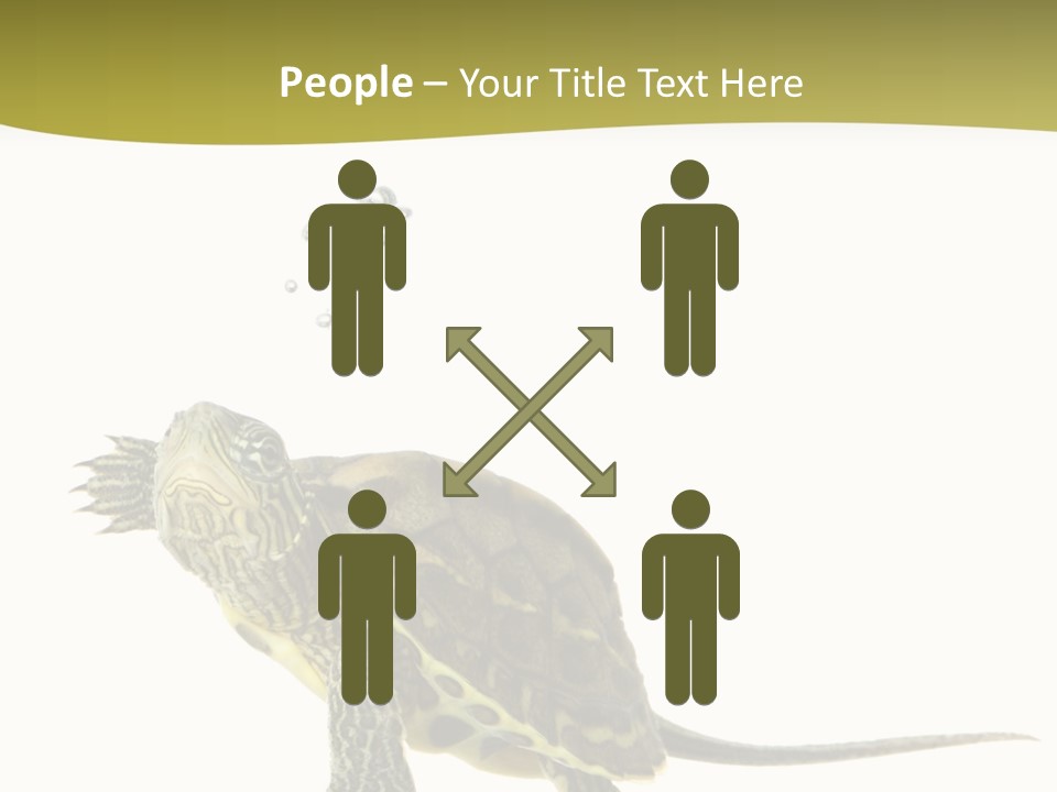 Fin Fluid Freshness PowerPoint Template