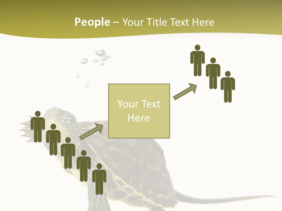 Fin Fluid Freshness PowerPoint Template