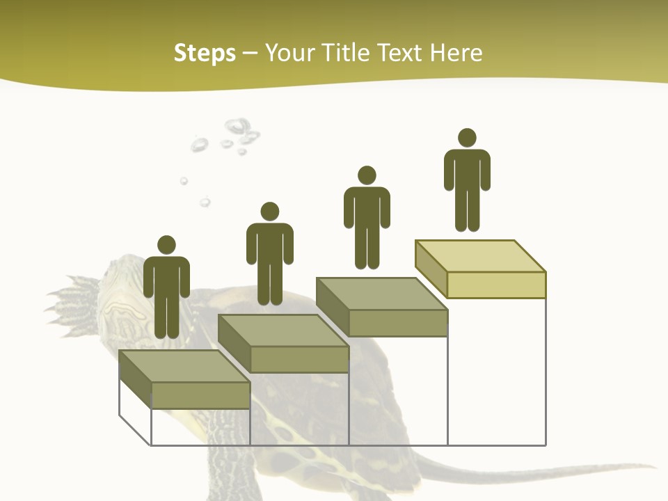 Fin Fluid Freshness PowerPoint Template