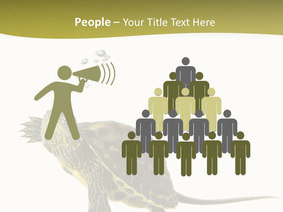 Fin Fluid Freshness PowerPoint Template