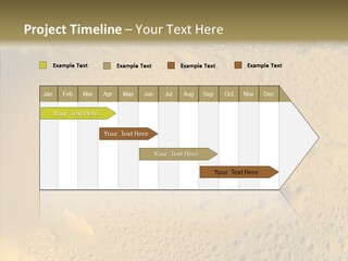 Fresh Bottle Over PowerPoint Template