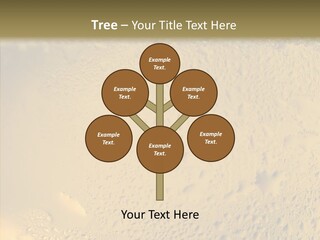 Fresh Bottle Over PowerPoint Template