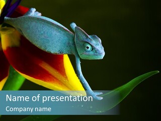 Animal Tulip Lizard PowerPoint Template