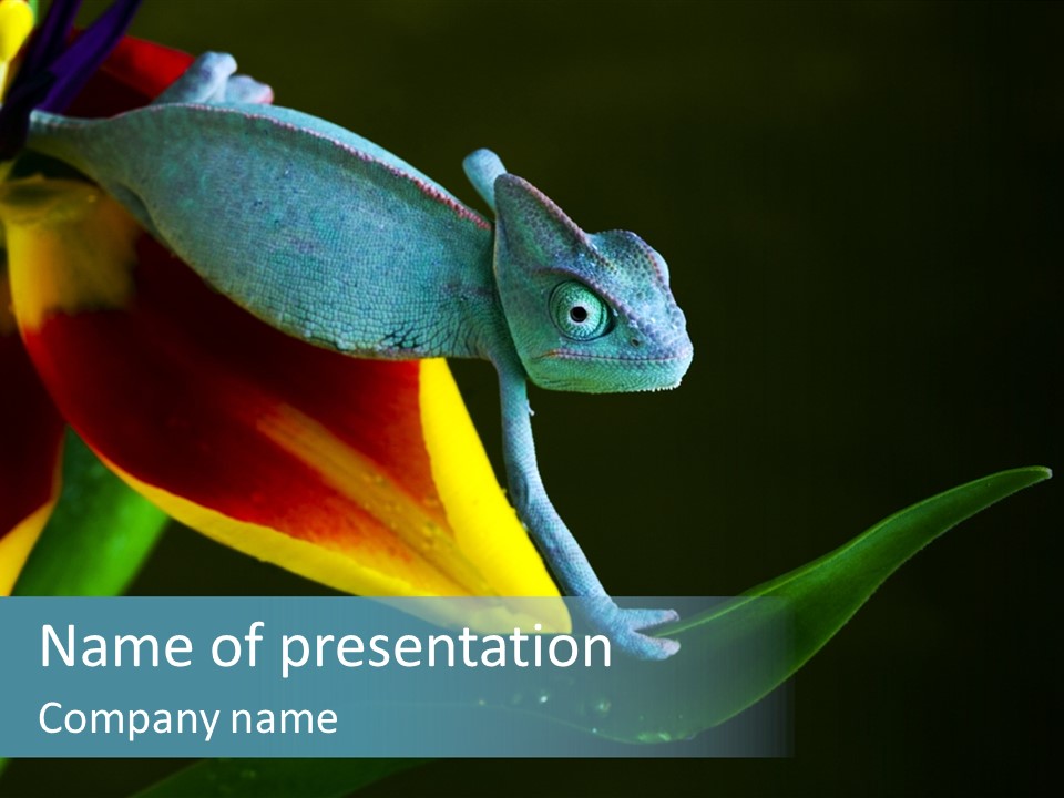 Animal Tulip Lizard PowerPoint Template