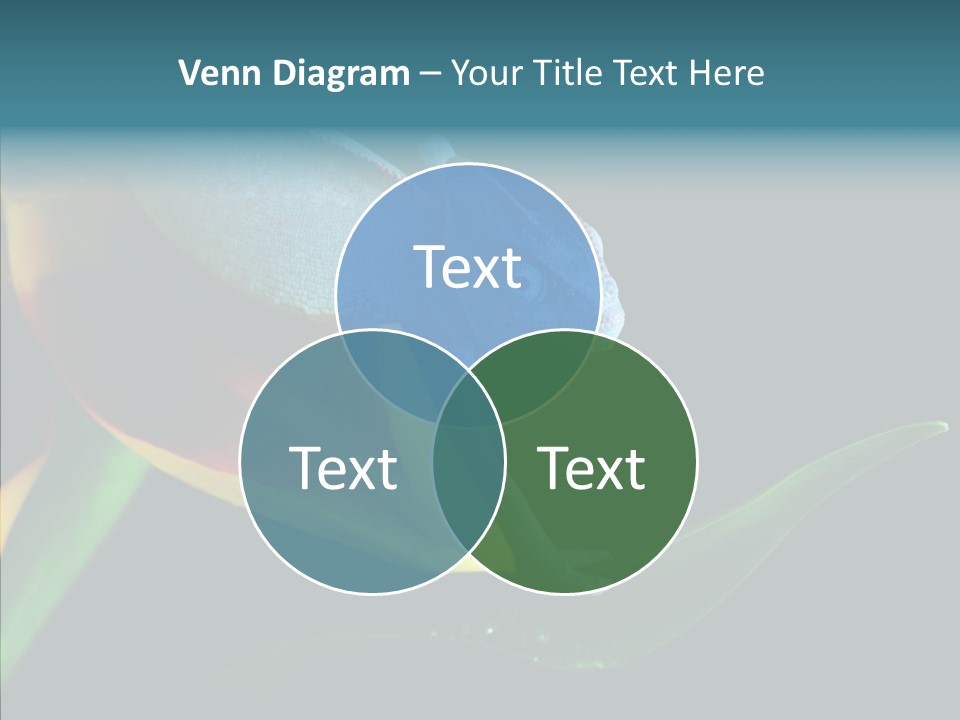 Animal Tulip Lizard PowerPoint Template