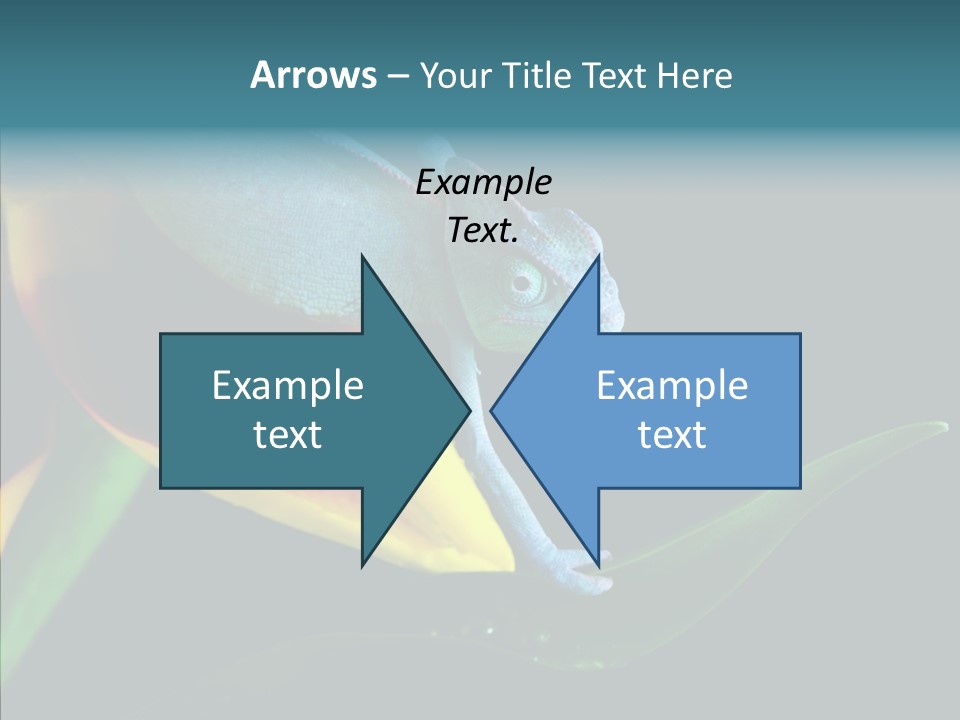 Animal Tulip Lizard PowerPoint Template