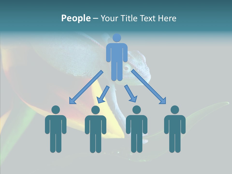 Animal Tulip Lizard PowerPoint Template