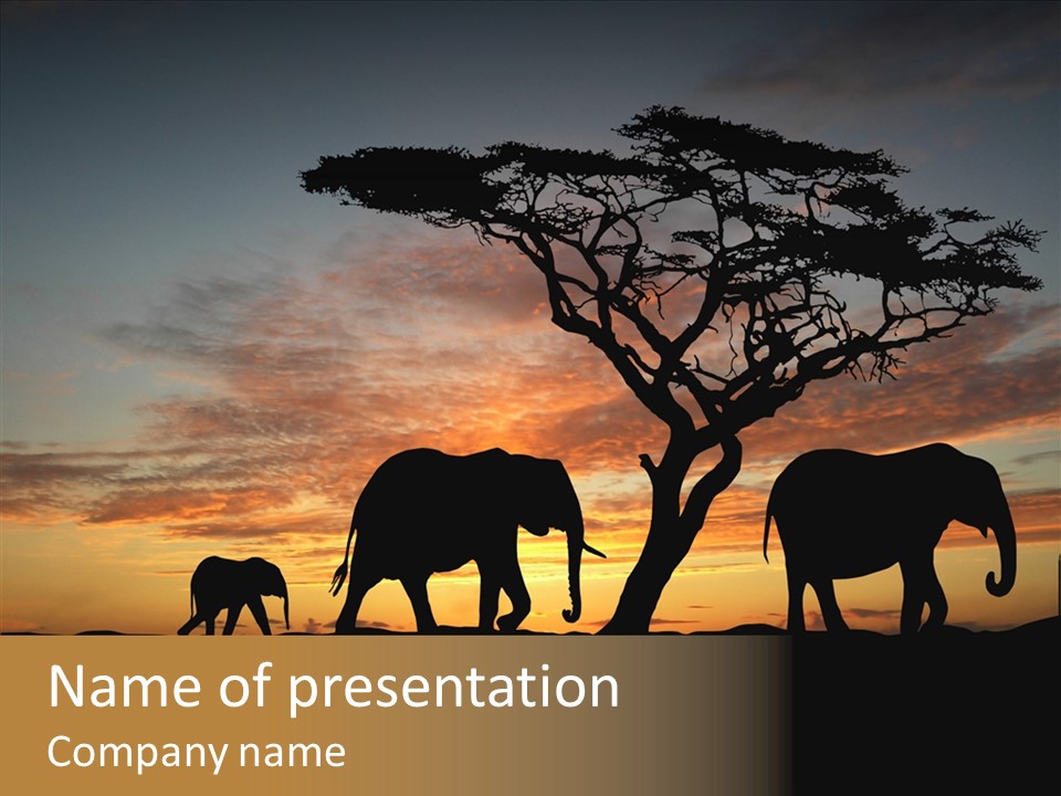 Black Orange Herd PowerPoint Template