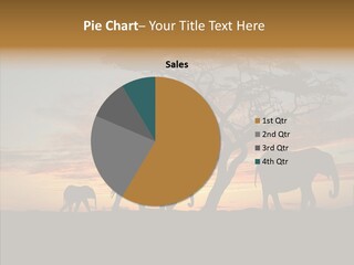 Black Orange Herd PowerPoint Template