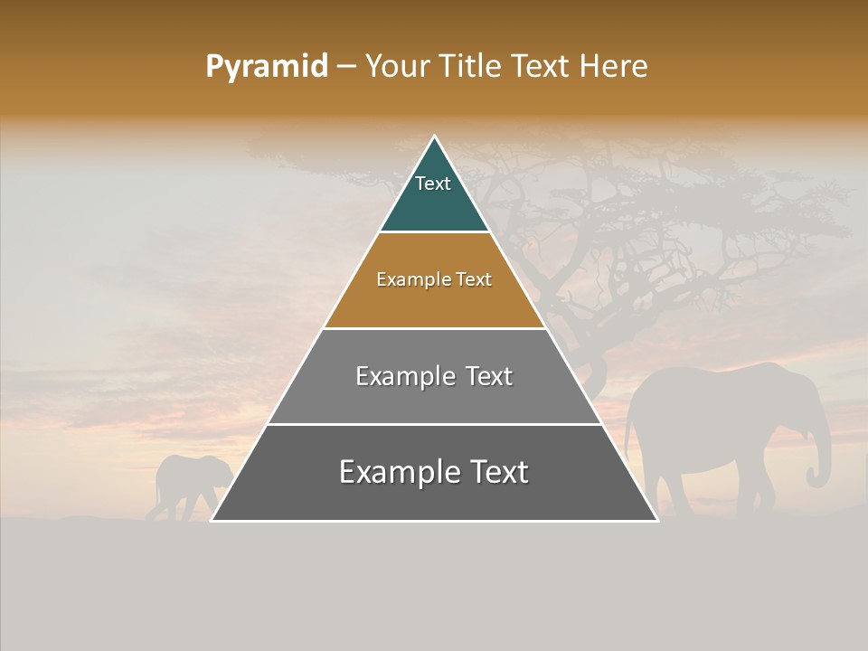 Black Orange Herd PowerPoint Template