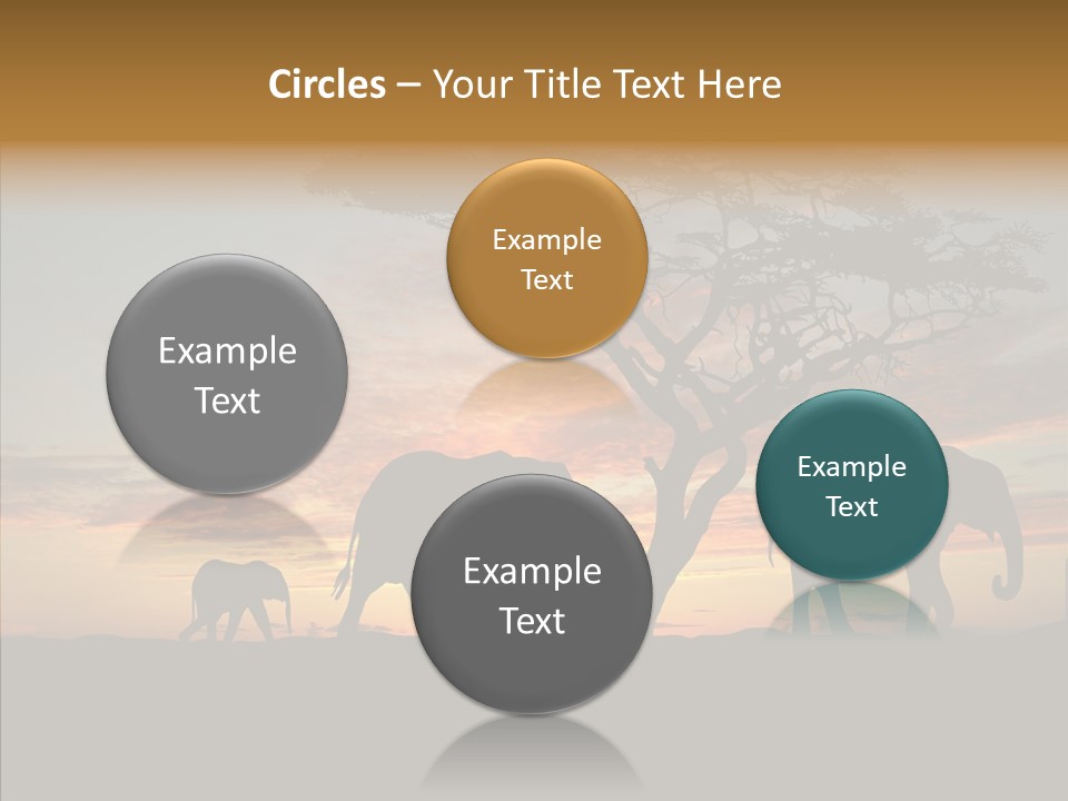 Black Orange Herd PowerPoint Template