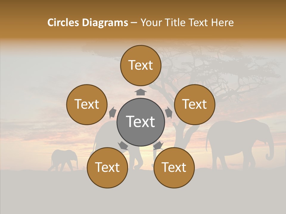 Black Orange Herd PowerPoint Template