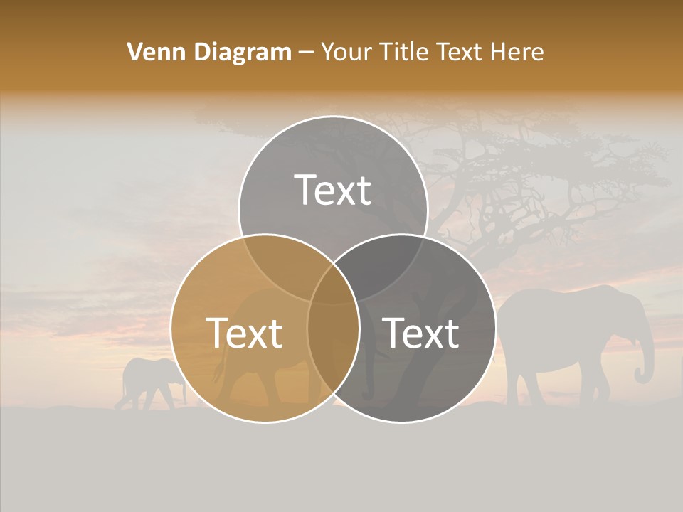 Black Orange Herd PowerPoint Template