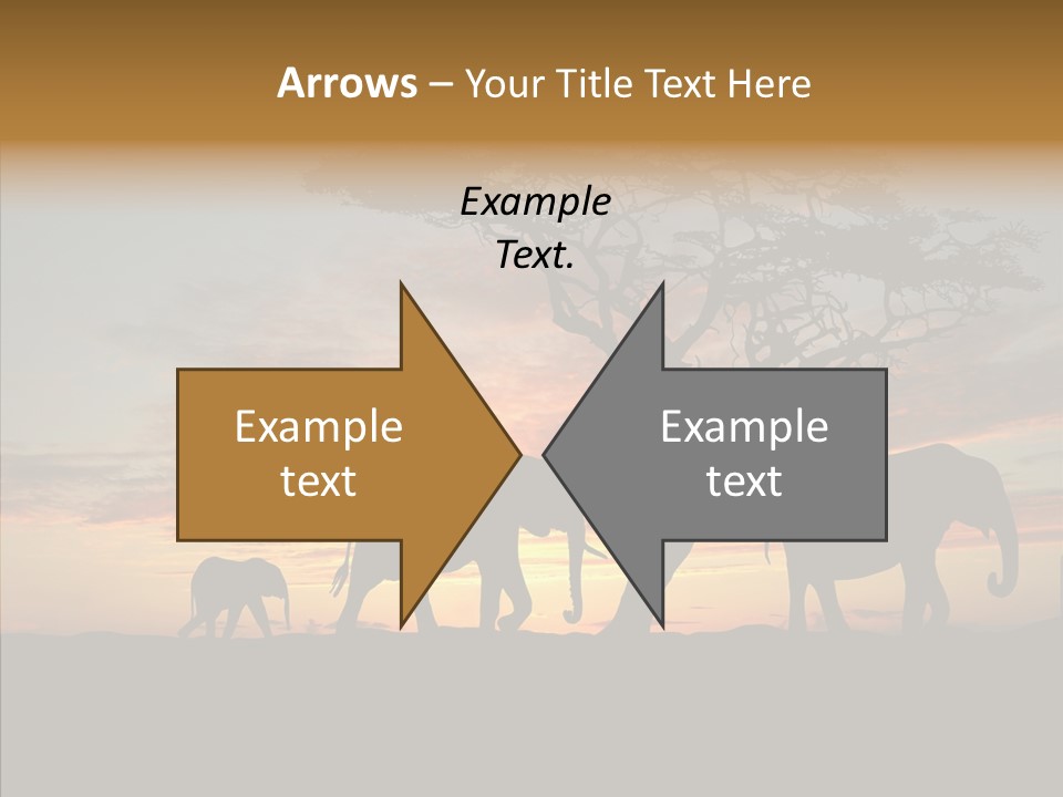 Black Orange Herd PowerPoint Template