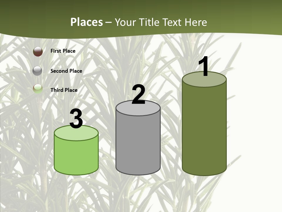 Tree Evergreen Spice PowerPoint Template