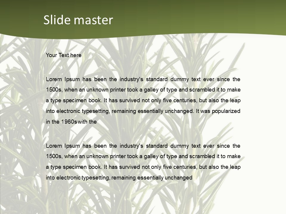 Tree Evergreen Spice PowerPoint Template