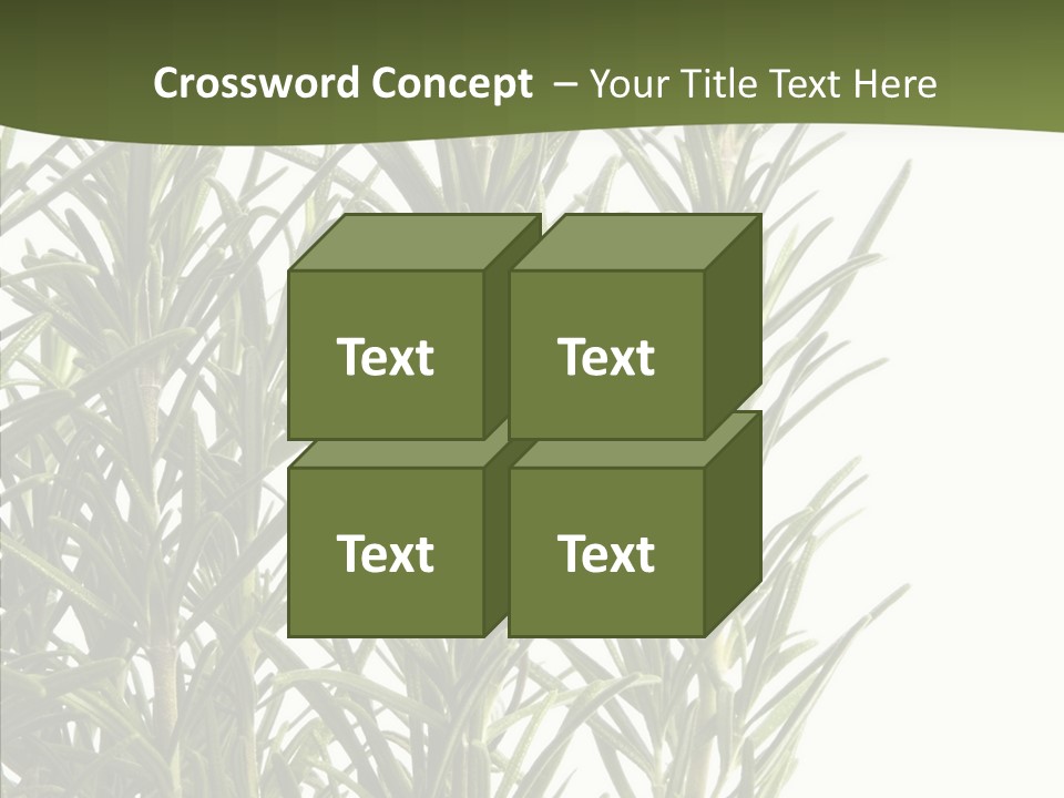 Tree Evergreen Spice PowerPoint Template