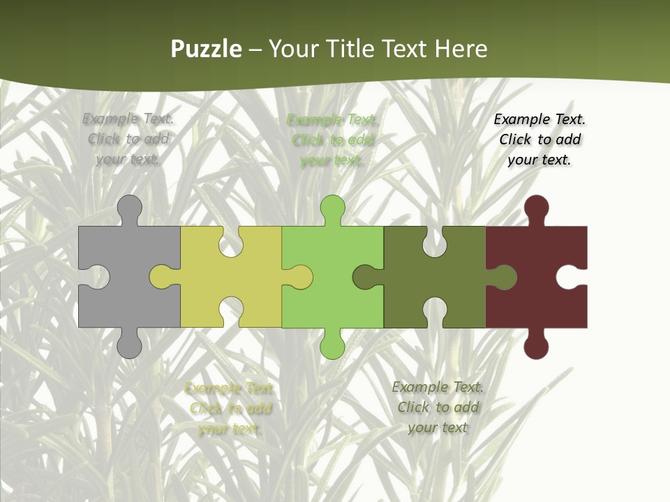 Tree Evergreen Spice PowerPoint Template