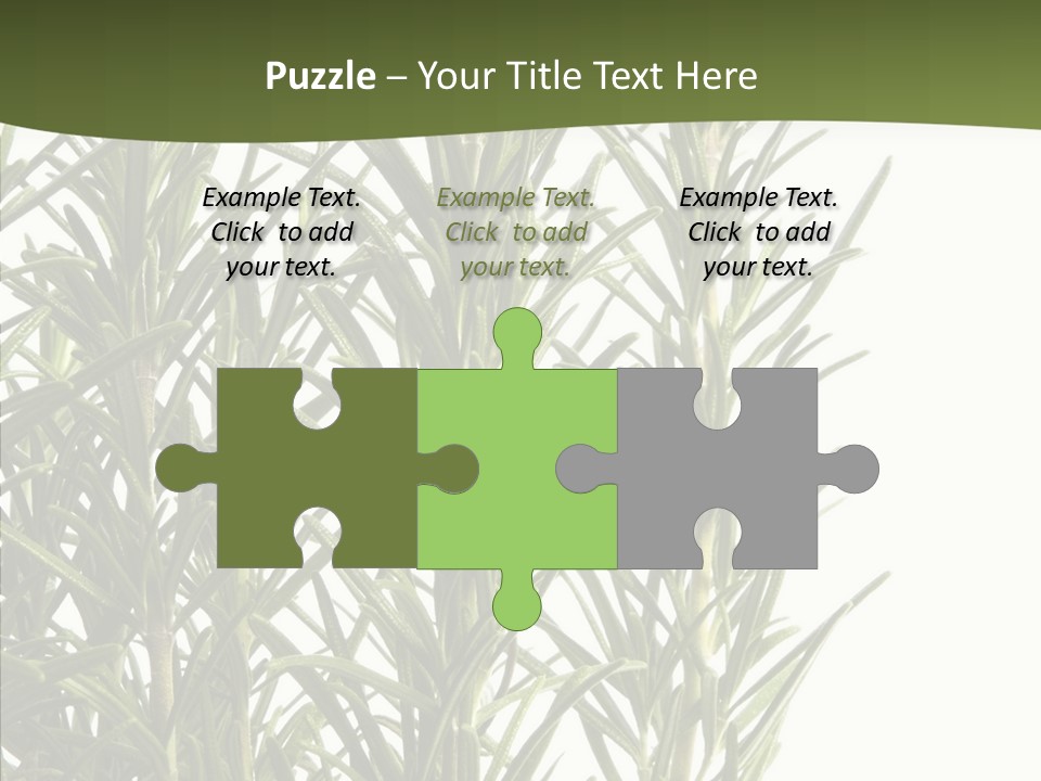 Tree Evergreen Spice PowerPoint Template