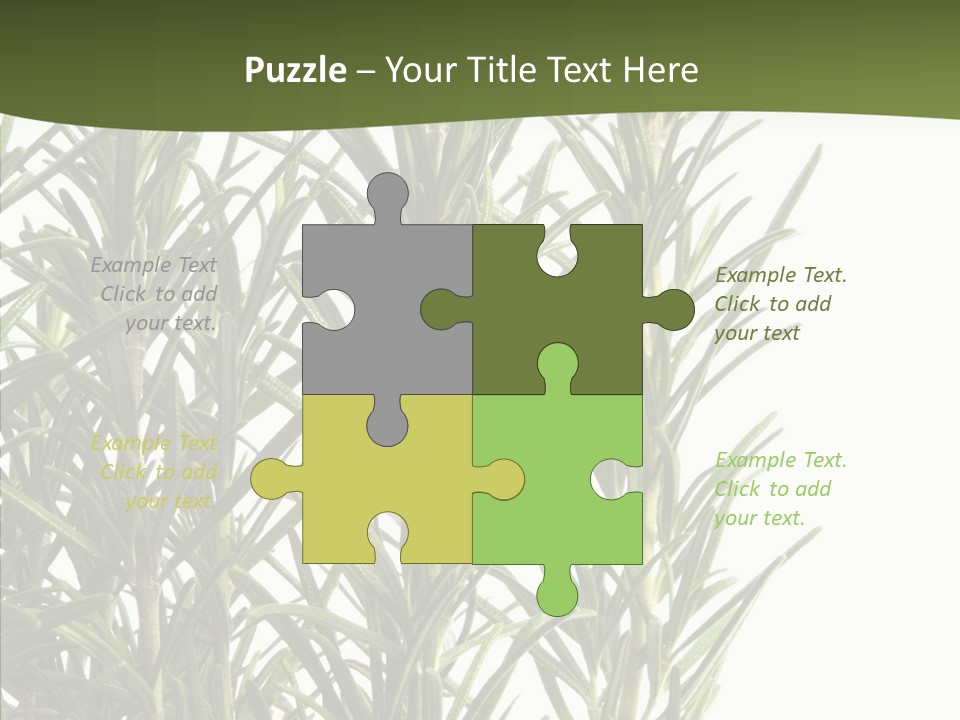 Tree Evergreen Spice PowerPoint Template