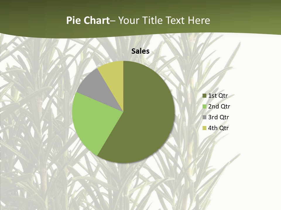 Tree Evergreen Spice PowerPoint Template