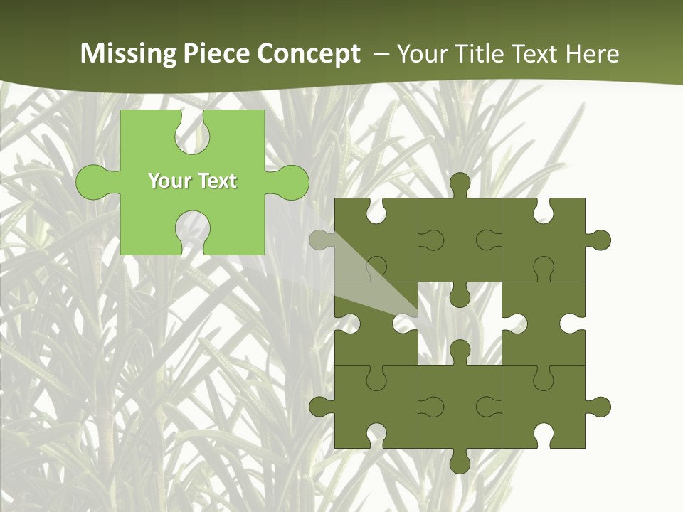 Tree Evergreen Spice PowerPoint Template