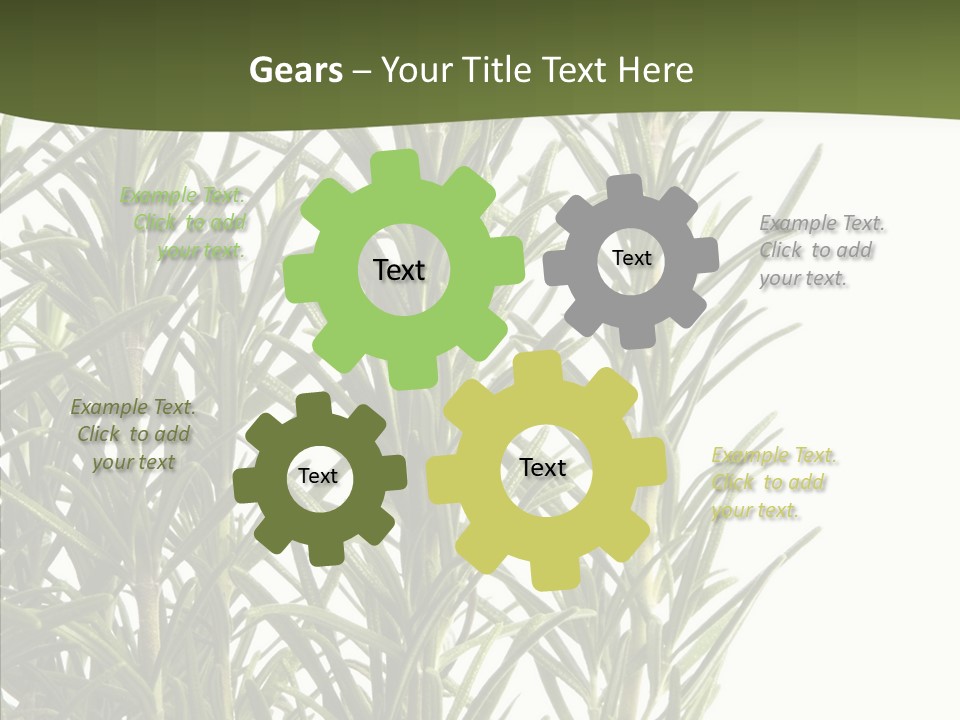 Tree Evergreen Spice PowerPoint Template