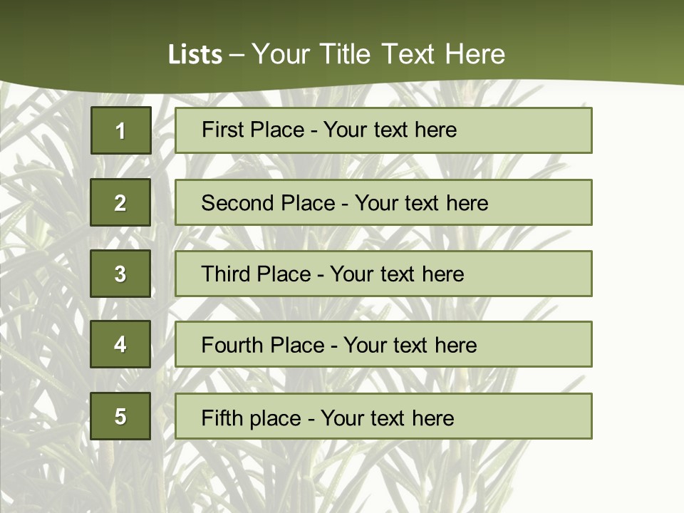 Tree Evergreen Spice PowerPoint Template