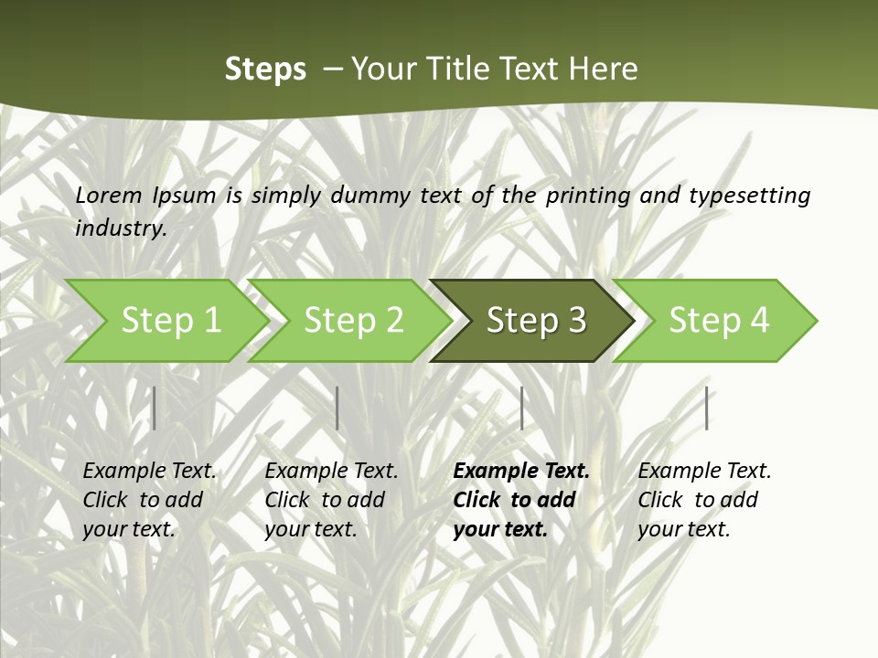 Tree Evergreen Spice PowerPoint Template