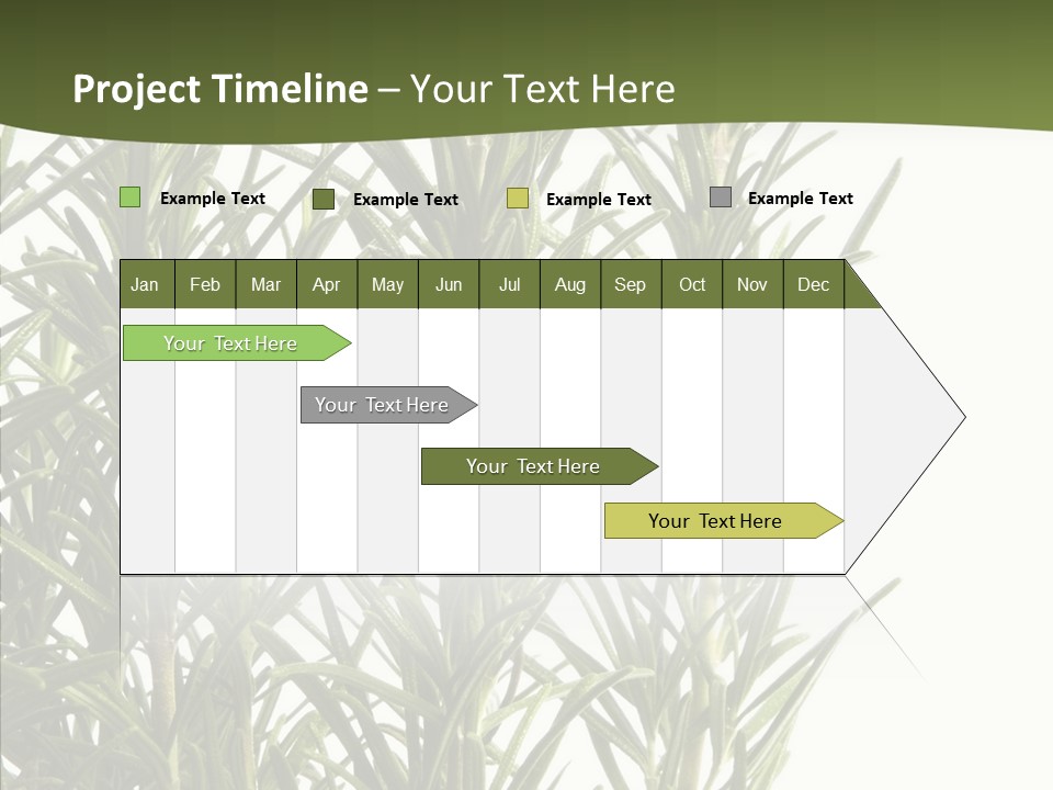 Tree Evergreen Spice PowerPoint Template