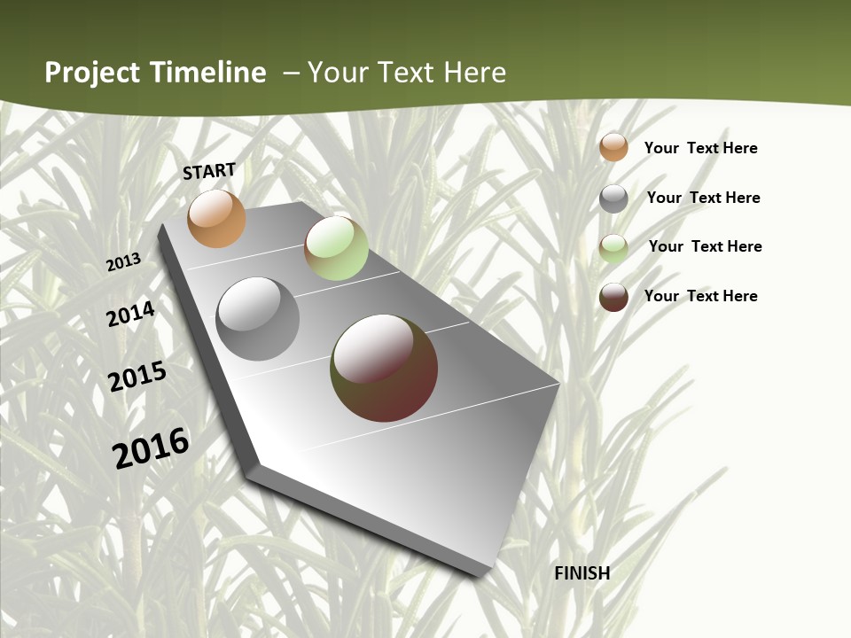 Tree Evergreen Spice PowerPoint Template