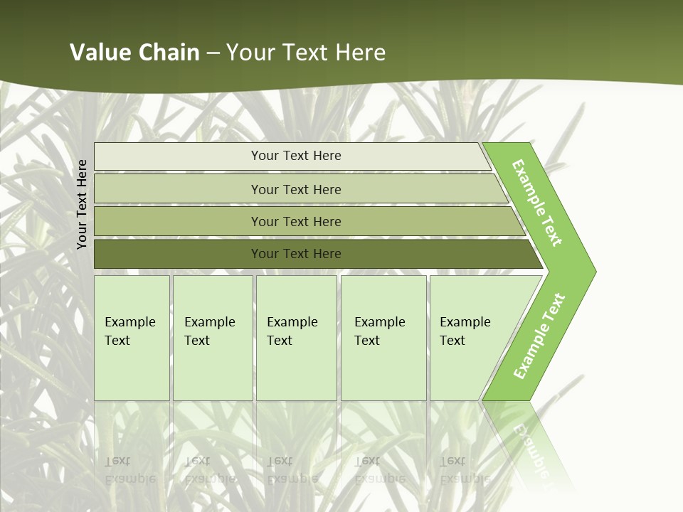 Tree Evergreen Spice PowerPoint Template