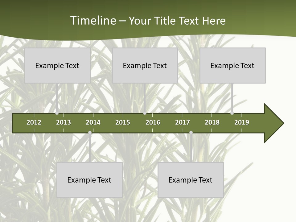Tree Evergreen Spice PowerPoint Template