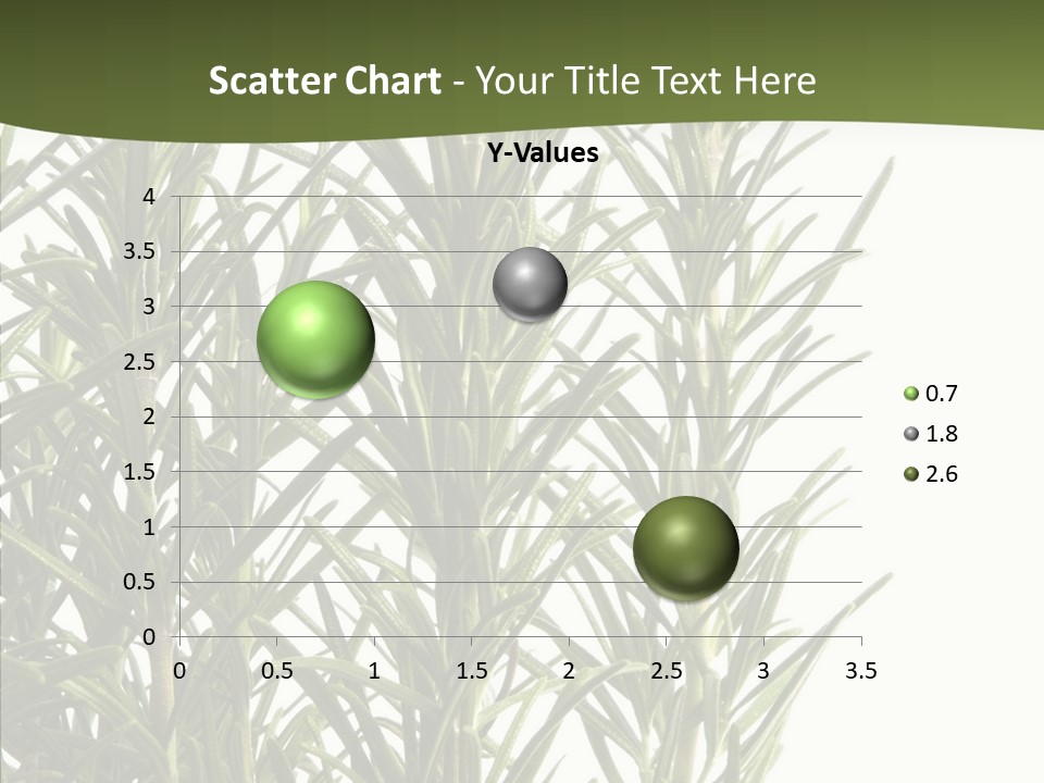 Tree Evergreen Spice PowerPoint Template