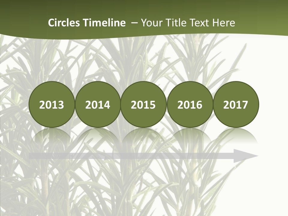 Tree Evergreen Spice PowerPoint Template