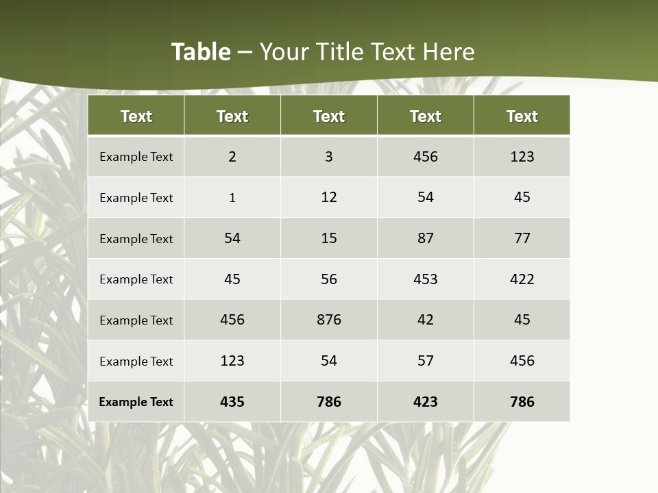 Tree Evergreen Spice PowerPoint Template
